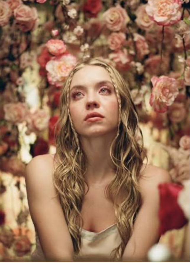 Cognitive Behavioral Therapy